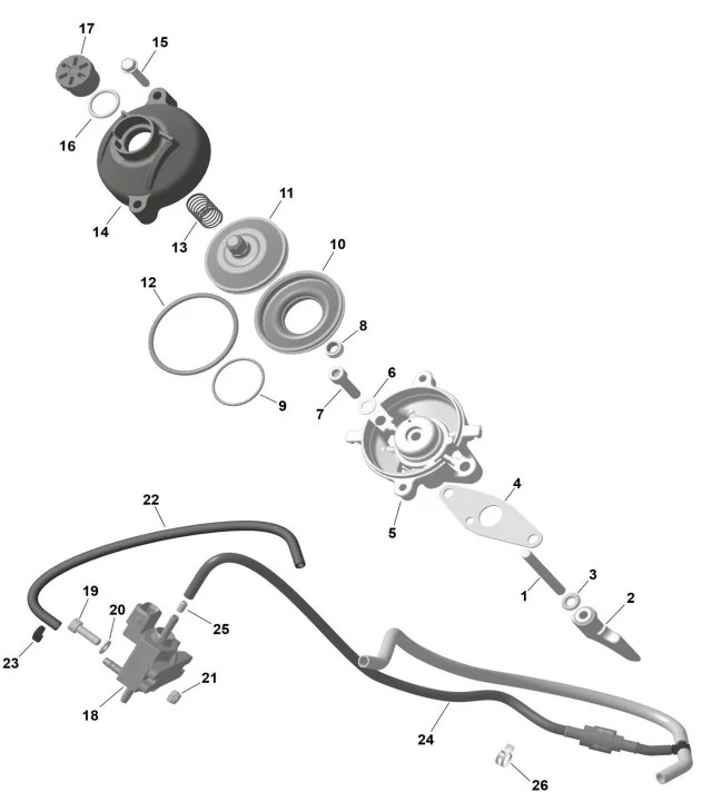 Rotax Senior MAX – EVO Upgrade Kit E-Rave
