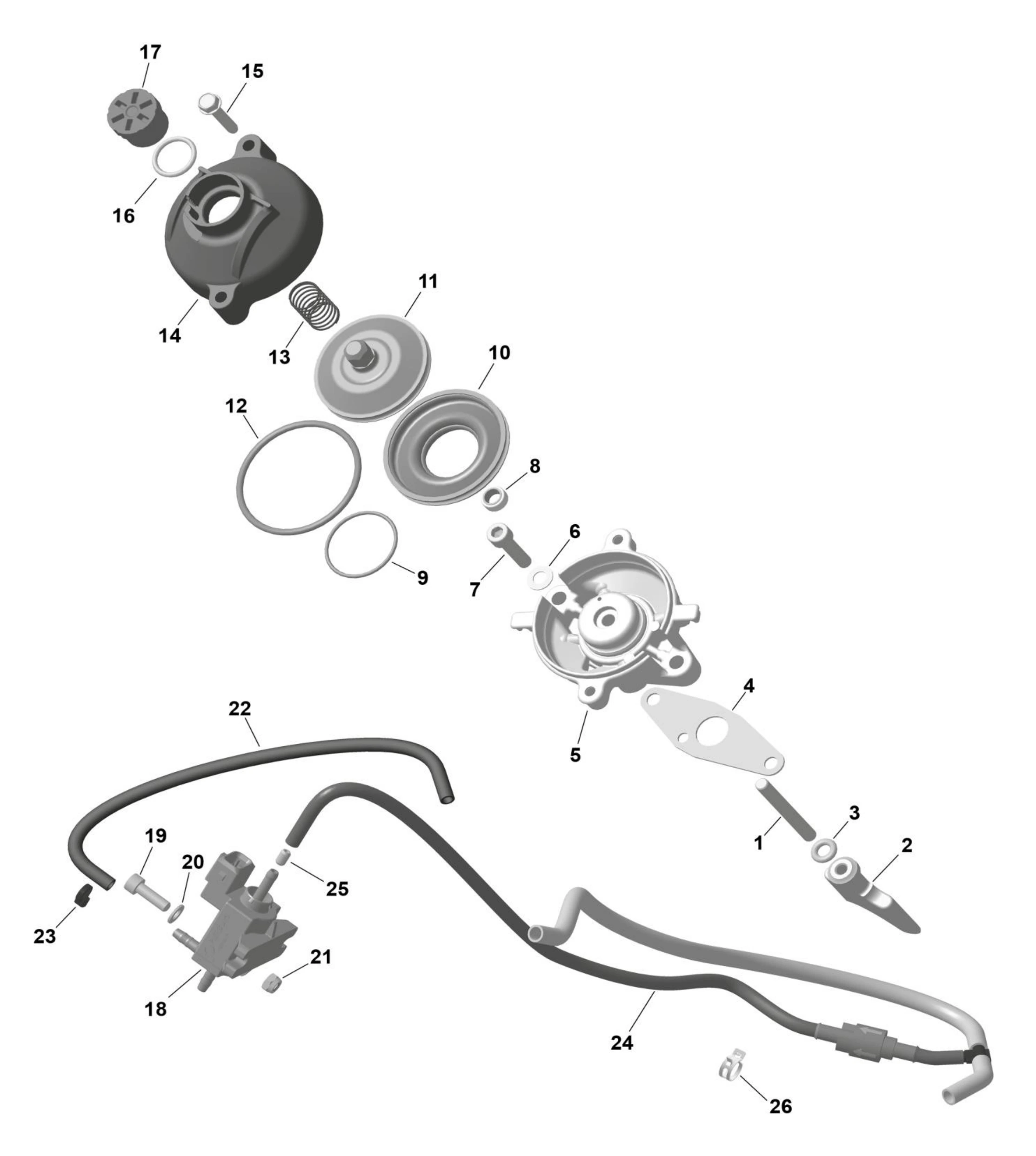 ROTAX DD2 Explosionszeichnung EVO Upgrade Kit E-Rave