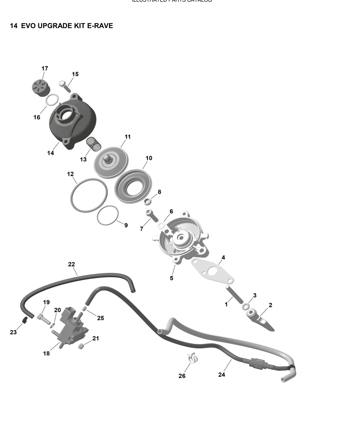 ROTAX Explosionszeichnung EVO Upgrade Kit E-Rave für Rotax Senior MAX