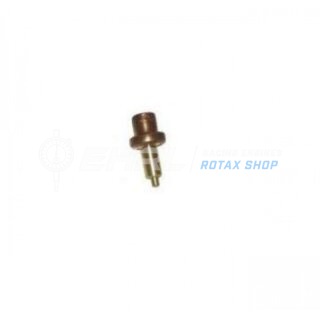 Thermostat, 45 DEGR.