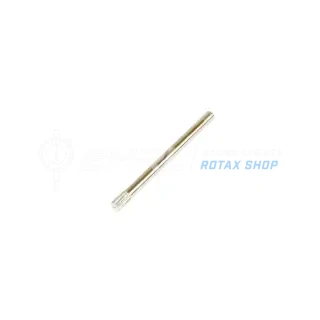 Schwimmer Stift