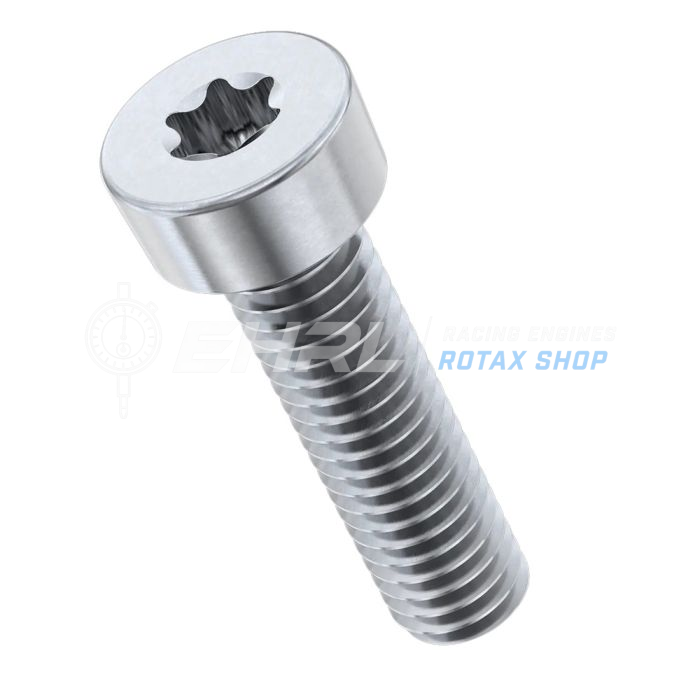 TORX-TR-Schraube 3X6 - VIBRALOK