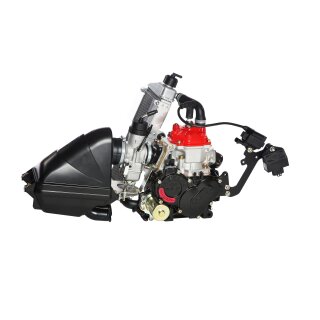 125 JUNIOR MAX evo Rumpfmotor ohne Zubehör