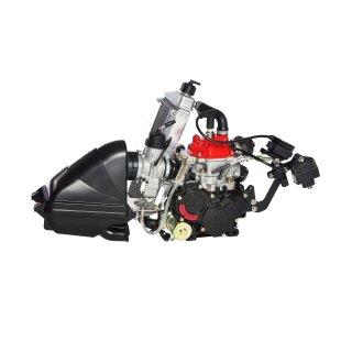 125 MAX evo Rumpfmotor ohne Zubehör