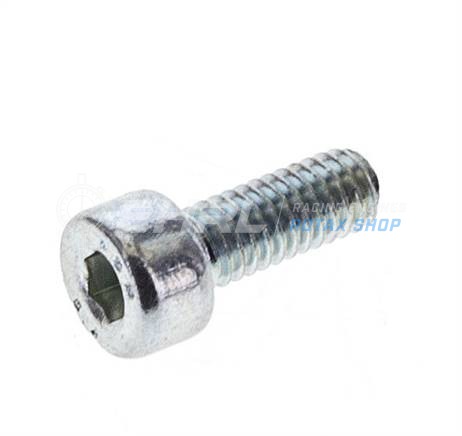 Schraube M4X10 8.8 DIN912