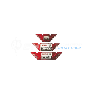 RADIATOR STICKER 125 MAX DD2 EVO – Komplettmotor