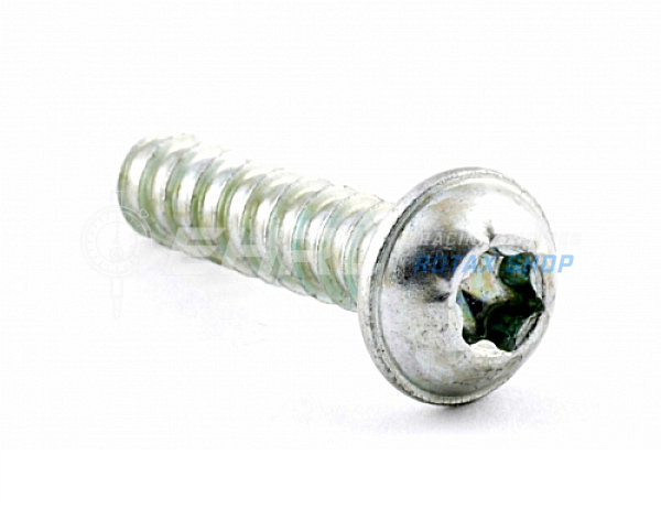PLASTITE Schraube 6X25